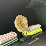 Neozone Neostudio *