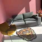 Neozone Neostudio *