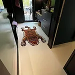 Lägenhet Neozone Neostudio