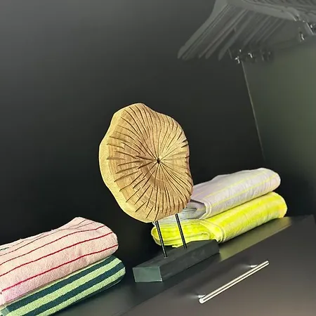 Neozone Neostudio *
