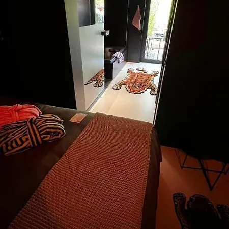 Neozone Neostudio * 말메디