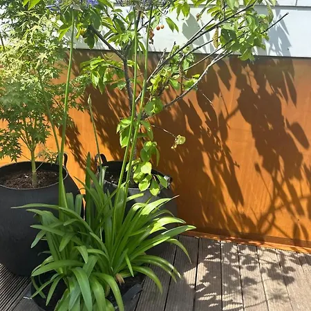 Neozone Neostudio 아파트