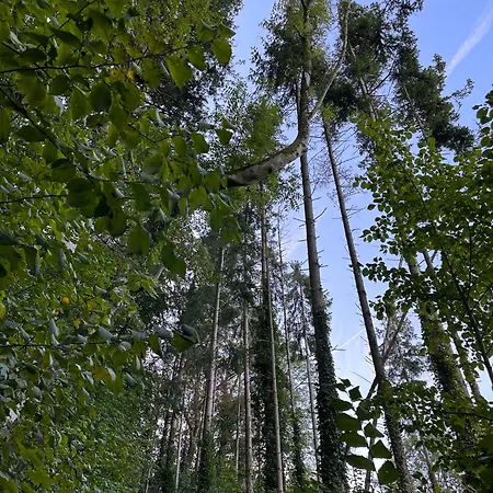 Appartement Neozone Neostudio Malmedy