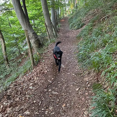 Neozone Neostudio * Malmedy