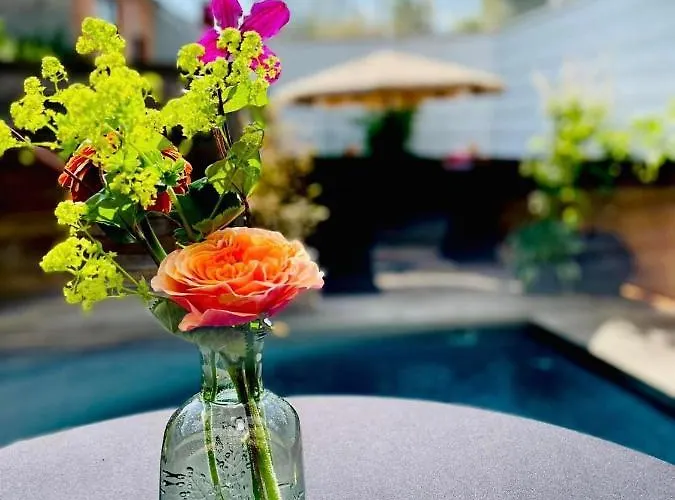 Neozone Neostudio Malmedy