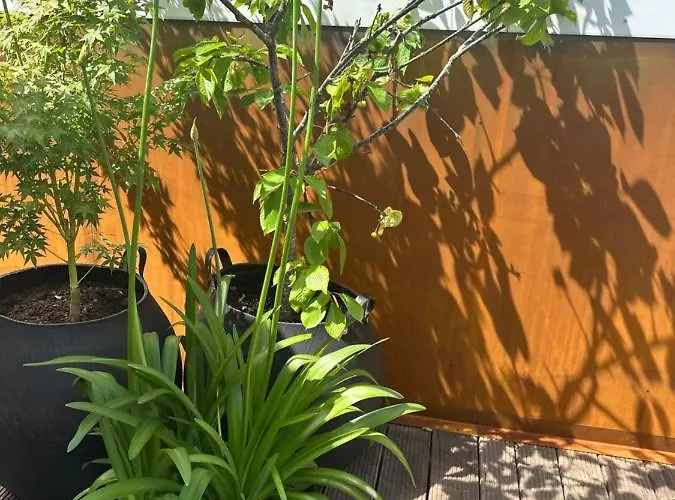 Neozone Neostudio Appartement