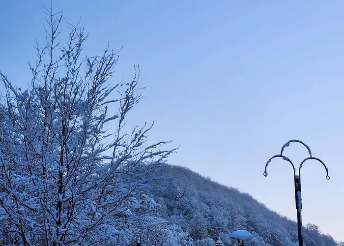 Appartement Neozone Neostudio Malmedy