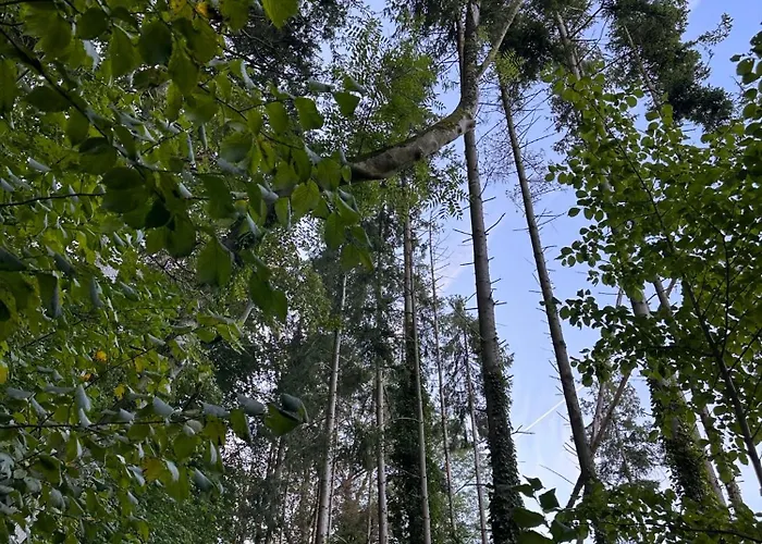 Appartement Neozone Neostudio Malmedy