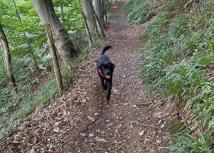 Neozone Neostudio * Malmedy